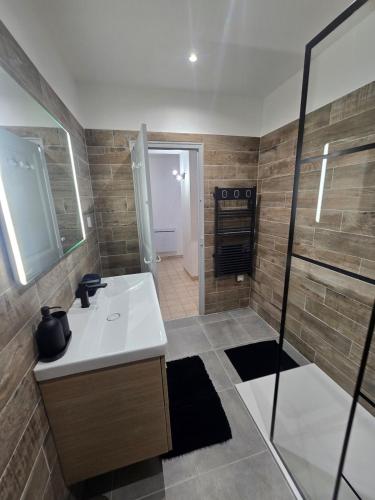 a bathroom with a sink and a shower at L'écrin des Halles 81 m2 Alès center 8 Beds in Alès
