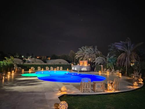 a pool with blue lights in a yard at night at Slow Tunis in Fayoum Center