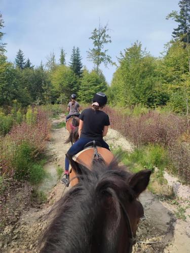 a group of people riding horses down a dirt road at Domek Ranczo Podkówka 