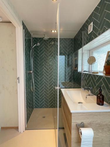 un baño con ducha y lavabo en Casa aan de vecht, en Ons Belang