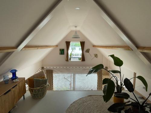 Una habitación abuhardillada con una ventana y una planta. en Casa aan de vecht, en Ons Belang