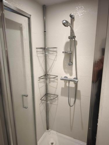 a bathroom with a shower and a toilet with shelves at Chez Mimi in Beaurepaire