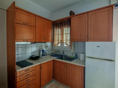 Elmas House