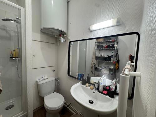 a bathroom with a sink and a toilet and a mirror at Shared room for 1 male traveler No private room in Paris