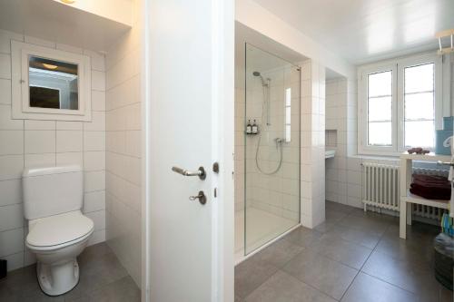 a bathroom with a toilet and a shower at Maison DuBois in Le Locle