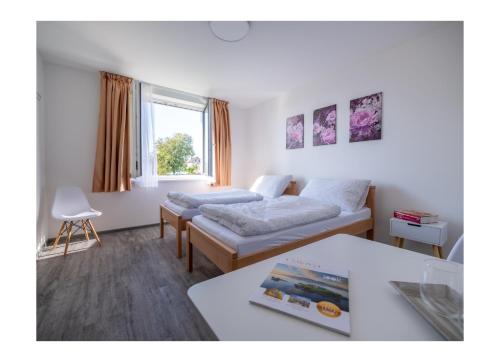 a hotel room with two beds and a window at Ubytování V Panské zahradě 