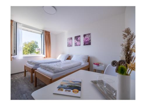 Ubytování V Panské zahradě