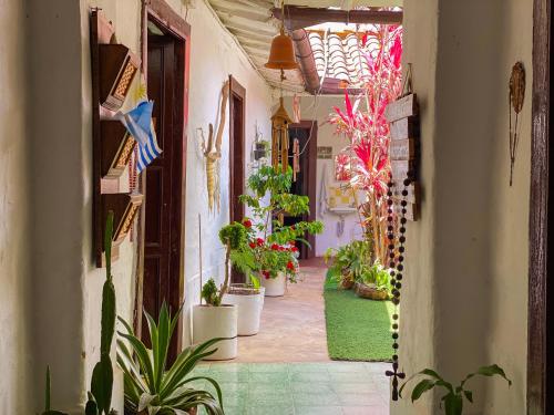 an alley with potted plants in a building at CASA MAGIA by Magally Velasco in Curití