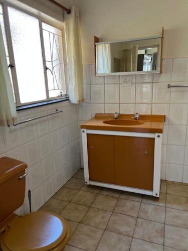 a bathroom with a sink and a toilet and a mirror at ForgetMeNot Guesthouse Lydenburg in Lydenburg