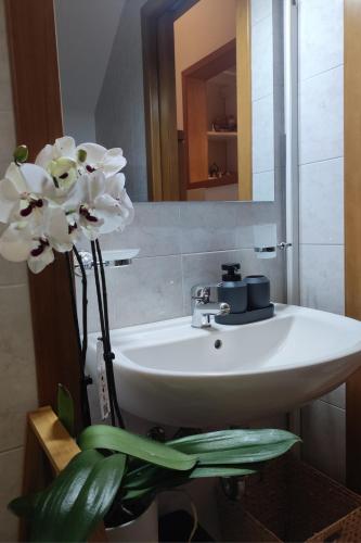 a bathroom with a white sink and a flower at Casa vacanza Gallipoli centro in Gallipoli