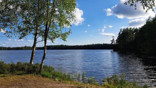a view of a large lake with trees on the shore at Family-friendly red cottage in Småland in Lidhult