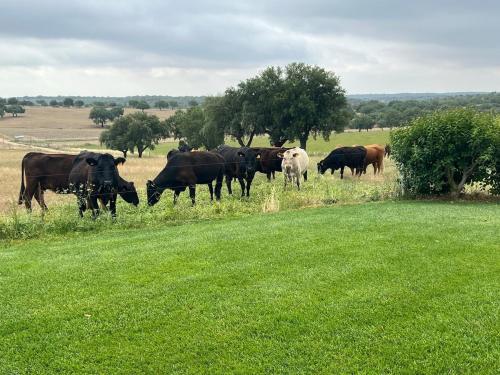 Afbeelding uit fotogalerij van Casa da Retorta in Casa Branca