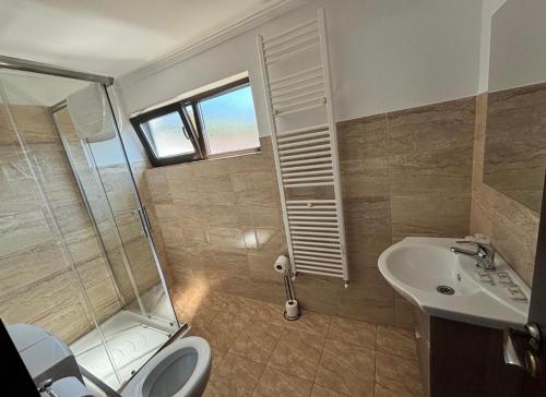 a bathroom with a toilet and a sink and a shower at Casa Mocanitei in Vişeu de Sus