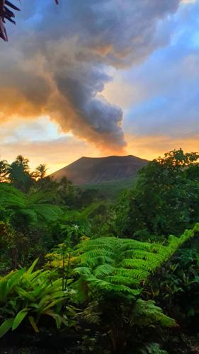 a view of a mountain in the distance with plants at Volcano island paradise in Lénakel