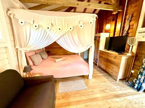 a bedroom with a canopy bed and a tv at Villa Gaïa - Bungalow Ti-Spa et son jacuzzi privé dans un jardin tropical, séjour en amoureux ou en famille in Le Diamant