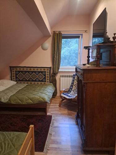 a bedroom with a bed and a tv and a window at Ropuszy Dwór in Żerdenka