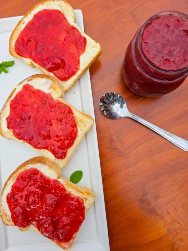 two pieces of toast with jam on a plate with a spoon at Burbi Lake Lodge Monteverde in Monteverde Costa Rica