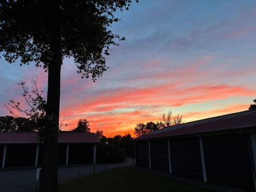 a sunset over a house with a tree in the foreground at 't Tjilpplekje, 4-persoons chalet met privé hottub in Voorthuizen