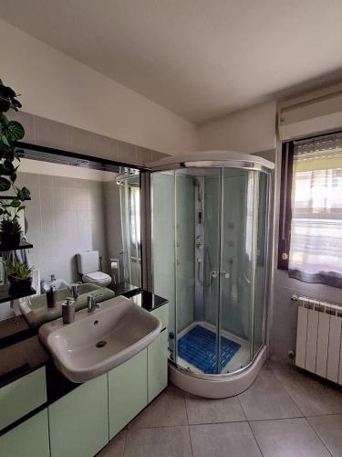 a bathroom with a large shower and a sink at Lago Maggiore Gardens Apartment in Intra
