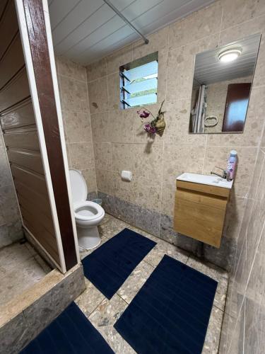 a bathroom with a toilet and a sink and a mirror at Fare Vaitaua in Faaone