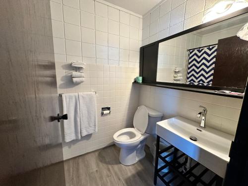 a bathroom with a toilet and a sink and a mirror at Skyview Motel - Prairie du Sac in Prairie du Sac