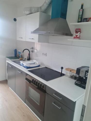 una cocina con estufa y encimera en Scumpu gheorghe Rareș, en Witten
