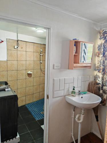 ein Badezimmer mit Waschbecken und Dusche in der Unterkunft ACAs HAVEN in Suva