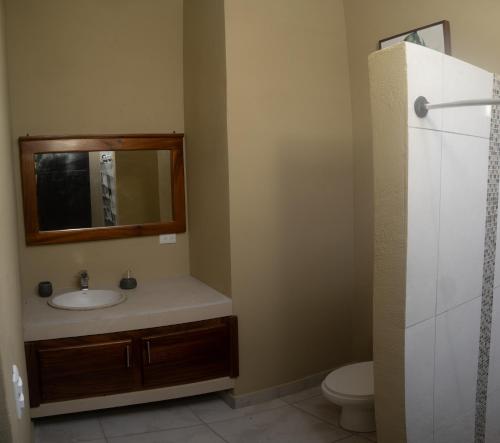 マヌエル・アントニオにあるKalegio Lodge Full Furnished Apartmentsの洗面台、鏡、トイレ付きのバスルーム