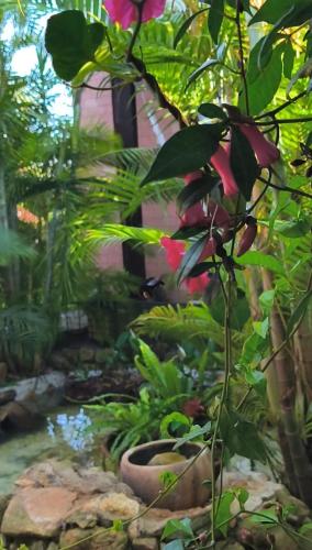 Loft do QUINTAL 21にある庭