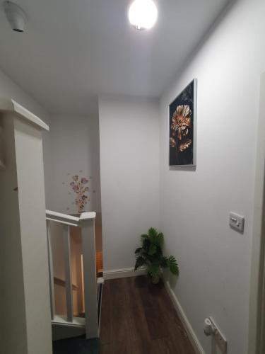 a hallway with white walls and a plant on the wall at AMH Hotel - Greenford Station in Northolt