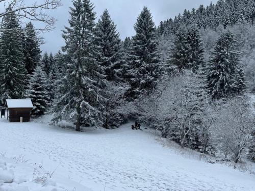 a group of people sitting in the snow next to trees at Maison spacieuse avec SPA, nature & calme dans les Vosges - FR-1-589-757 in Fraize