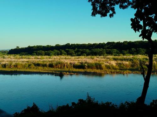 a lake with a tree in the middle of a field at Hotel Parkside & Swimming Pool-Between Greenery and Azure ,Your Perfect Retreat in Chitwan