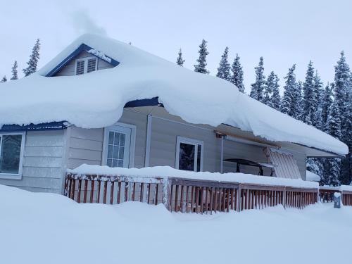 a house covered in snow with trees in the background at Cook's Place in Tok