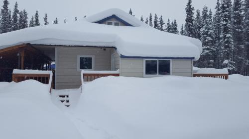 a house covered in snow with trees in the background at Cook's Place in Tok