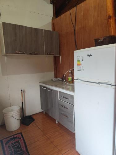 a kitchen with a white refrigerator and wooden cabinets at Foike "cabaña camino a la montaña" in Antuco