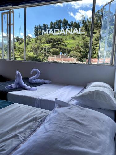 Fotografie z fotogalerie ubytování El Oasis Hotel Hospedaje v destinaci Macanal