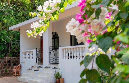 Zahrada ubytování Tahom villas - Goa