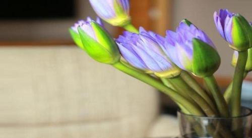 a vase with purple and green flowers in it at Teda Dalian in Dalian
