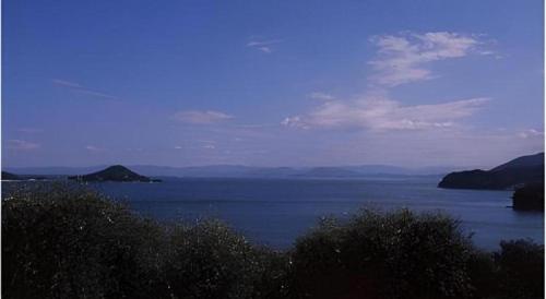 a view of a large body of water at Country Inn The White Marine in Tonosho