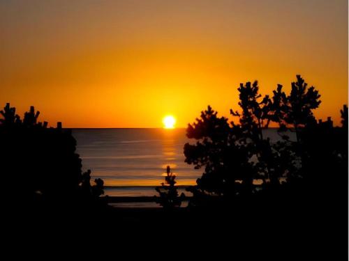 a sunset over the ocean with trees in the foreground at Nest West Garden Tosa Hotel in Shimanto