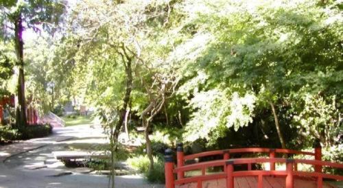 a red bench in a park with trees at Yugawara Onsen Hotel Akane in Yugawara