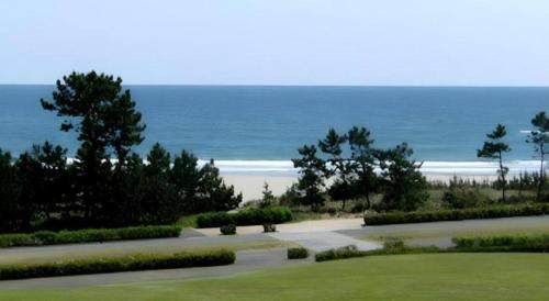 a walkway to the beach with the ocean in the background at Nest West Garden Tosa Hotel in Shimanto
