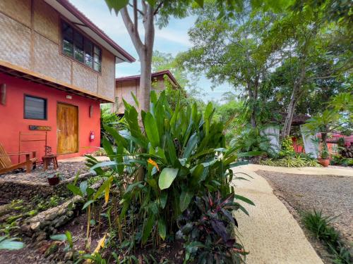 a path leading to a red house with trees at Nakabalo Guesthouse & Restaurant in Siquijor