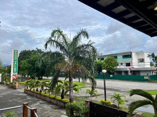a group of palm trees in front of a building at Mango Valley Hotel in Olongapo