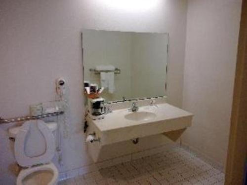 Ένα μπάνιο στο Americas Best Value Inn Kinston