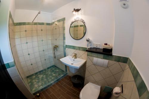 een badkamer met een wastafel, een douche en een toilet bij Conacu´ Boierului in Ponoarele