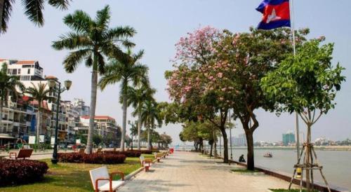 a sidewalk with benches and palm trees next to the water at Unique Hotel in Phnom Penh