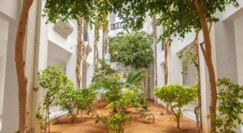 a courtyard with trees in a white building at Djerba Holiday Beach in Midoun