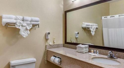 a hotel bathroom with a sink and a mirror at Comfort Suites in Plainview