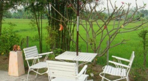 three white chairs and a picnic table with a tree at Indie House @ Maerim in Chiang Mai